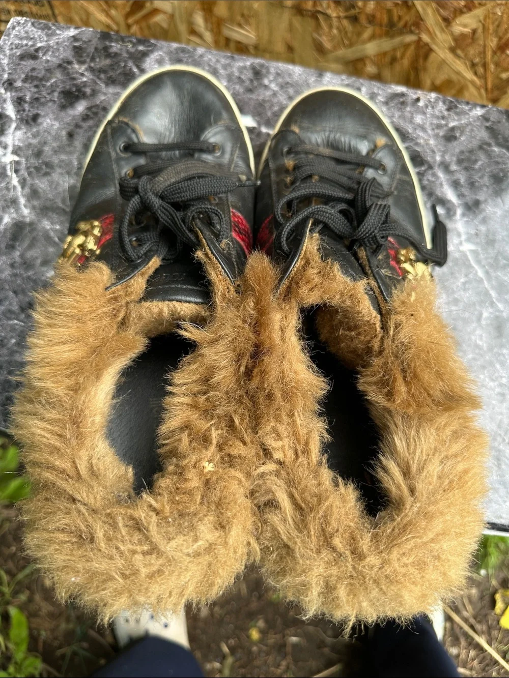 Roberto Cavalli Black Leather Sneakers with Red Accent and Gold Emblem
